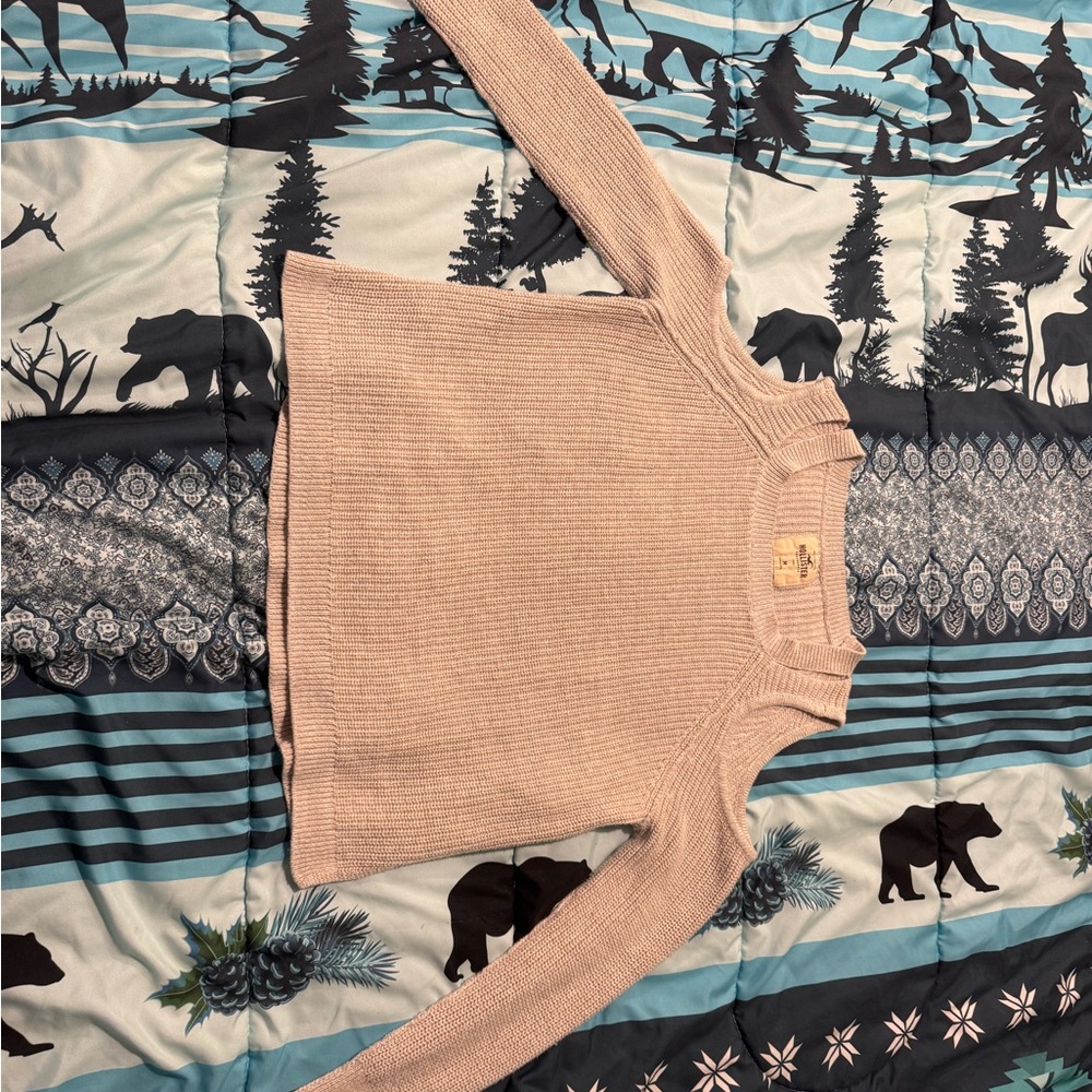Hollister Cream Crew Neck Sweater with Nature-Inspired Design